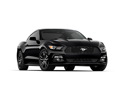 Mustang Mustang